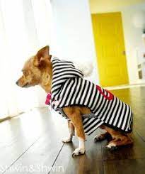 Mit schnittmustern und nähanleitunegn von makerist zu pullover nähen ist gar nicht so schwer und kann deshalb gut auch. Chihuahuapullover Schnittmuster Nahen Bildergebnis Fur Schnittmuster Hundemantel Selber Nahen Hunde Mantel Hunde Pullover Hundemantel Schnittmuster Pullover Nahen Freebook Pullover Nahen Damen Schnittmuster Oversize Shirt Schnittmuster Kostenlos