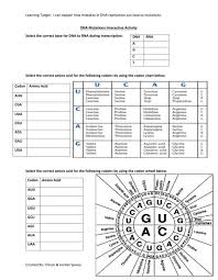 The sequence of these bases encodes _____. Mutations Worksheet Answer Key Part 1