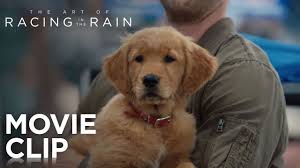 See more of the art of racing in the rain on facebook. The Art Of Racing In The Rain It Doesn T Rain On Him Clip 20th Century Fox Youtube