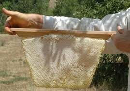 Honey centrifuge extractor, press & straining cloth you can use in uganda the centrifuge extractor is a machine used to extract honey from combs and. Harvesting Honey From A Top Bar Hive Top Bar Hive Harvesting Honey Top Bar Bee Hive