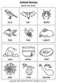 Animal Habitats Preschool Science Kindergarten Lesson Plans Kindergarten Science