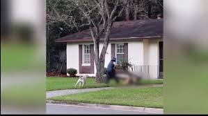Farmhouse garden garden cottage cottage front yard front porch beautiful home gardens front yard landscaping landscaping ideas backyard ideas front yard fence ideas. Gainesville Woman S Dog Attacked And Killed By Neighbor S Three Dogs Wgfl