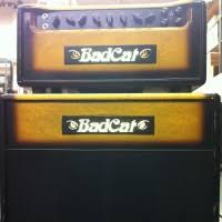 Bad cat black cat 30 guitar amp head vinyl amplifier cover (p/n badc026). Bad Cat Amplifier Models Simplified The Tonesmiths Report