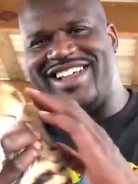 Shaquille O'Neal's Gorilla Encounter: A Wild Zoo Adventure
