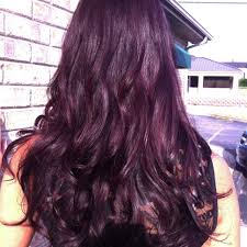 Long Violet Brown Hair Pravana This Is The Color I M Going To Try And Get Tomorrow Violet Brown Hair Purple Brown Hair Violet Hair Colors