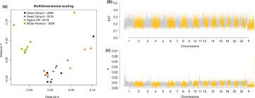 Changed is using file length/modification timestamp to detect whether the file is currently being copied or not. Comparative And Population Genomics Approaches Reveal The Basis Of Adaptation To Deserts In A Small Rodent Tigano 2020 Molecular Ecology Wiley Online Library