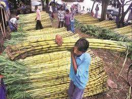 When switching to other currency, the price does not look good e.g. Up Govt Keeps Sugarcane Price Unchanged At Rs 315 Per Quintal Business Standard News