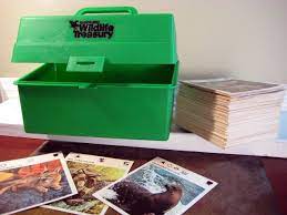 It's also important to note that any interest payment you receive from the irs would be considered taxable income on your 2020 returns, according to the irs. Wildlife Treasury Best Of The 80s