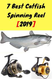 7 Best Catfish Spinning Reel 2019 Spinning Reels Fishing Reels Catfish