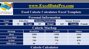 Download Food Calorie Calculator With Monthly Calorie Log