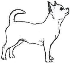 Check spelling or type a new query. Chihuahua Drawing Wallpaper Printable Chihuahua Puppy Coloring Pages 1770x1602 Wallpaper Teahub Io