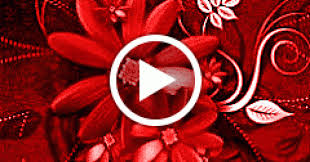 We did not find results for: Wallpaper Hd Wallpaper Cinta Terbaru Gambar Bunga Warna Warni Bergerak Fashionsista Co