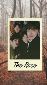 The Rose Wallpaper Kpop Download transparent kpop png for free on pngkey.com. the rose wallpaper kpop