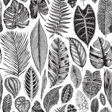 Pattern with bouquet of flowers. Vector Seamless Vintage Floral Pattern Exotic Leaves Botanical Classic Illustration Black And White Tasmeemme Com