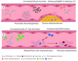Image result for Fibrinogen
