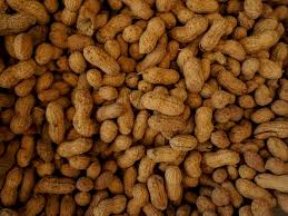 Kacang almond mengandung banyak lemak tak jenuh. 5 Jenis Kacang Dan Manfaatnya Indozone Id