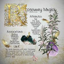 Witches Of Insta Posted On Their Instagram Profile Magickal Tips For Rosemary 1 Plant It By Your Front Doo Magick Magic Herbs Modern Day Witch