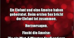 Wenn du das brautpaar und seinen humor gut kennst, kannst du natürlich auch einen lustigen spruch auf deine karte schreiben. Ein Elefant Und Eine Ameise Haben Geheiratet Lustige Bilder Spruche Witze Echt Lustig