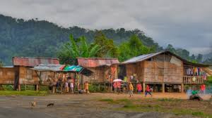 Studying in malaysia offers international students more than academic achievement and a globally recognized qualification, the malaysian education experience will give students a wealth of academic knowledge and. Indigenous Microbiome Monash University Malaysia To Research Gut Health Of Orang Asli Tribes