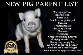 New Pig Parent List | Pet Pig Care, Mini Pig Care, Teacup Pigs