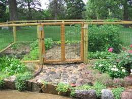 Chicken Wire Gate Garden Fence Garden Fencing Veggie Garden