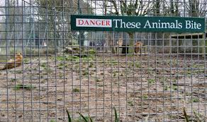 Pozrite si recenzie zariadenia newquay zoo, umiestnenie a fotografie od cestovateľov v newquay, anglicko na tripadvisore. Newquay Zoo Newquay Cornwall Guide