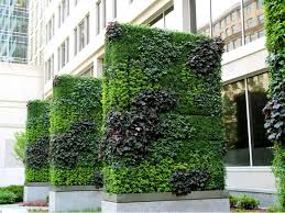 St James Ave Garden Vertical Garden Vertical Garden Planters Outdoor Gardens