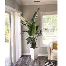 Plantas de interior decoracion casa plantas decoración con plantas tendencias decoración 2016 tendencias plantas plantas oficina plantas en casa. Beautiful Indoor Garden Designs For Your Healthy Home Ev Bitkileri Minimalist Ev Bitki
