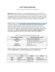 › natural selection study guide answers. Natural Selection Lab Docx Lab Natural Selection Modified From Sepup Science Global Issues U2013 Natural Selection Background In This Simulation You Course Hero