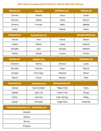 Mattress Name Comparison Chart Sante Blog