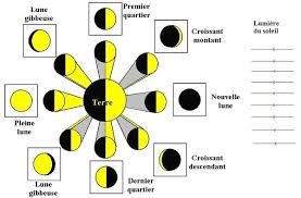 Le cycle des phases lunaires est créé par la lumière du soleil qui est réfléchie à sa surface en fonction de l'angle entre la terre, la lune et le soleil. Pleine Lune Calendrier Des Pleines Lunes En 2021 Nouvelles Lunes Calendrier Des Phases Lunaires Jardiner Avec La Lune Astrologie Et Pleine Lune