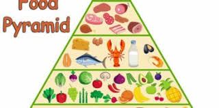 A healthy liver is vital for good health. New Healthy Food Pyramid For Health Healthy Food Planet