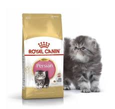 Yuk simak penjelasanya dibawah ini. Jual Makanan Kucing Royal Canin Kitten Persian 4kg 4 Kg Freshpack Rc Cat Makassar Hobi