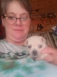 what is my one true wish?