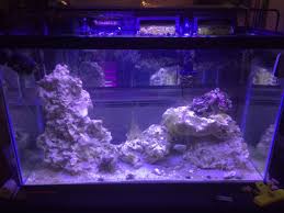 Nov 04, 2020 · let the saltwater sit overnight. Build Thread Arthroverts S Bare Bone S 30 Gallon Reef2reef Saltwater And Reef Aquarium Forum