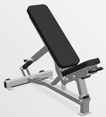 Incline decline benches a standard exercise bench is a must for any fitness enthusiast. Adjustable Incline Benches