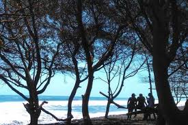 Ada mushola dan tempat duduk santai utk berjemur spenjang pantai. Pantai Bugel Harga Tiket Masuk Spot Foto Terbaru 2021