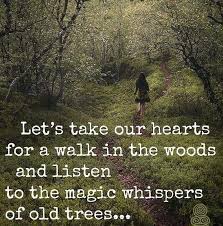 Embedded Nature Quotes Words Wild Women Sisterhood