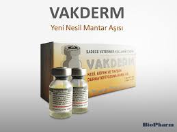 Yeni Nesil Mantar Asisi Ppt Indir