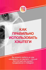 что можно написать о себе в инстаграме примеры для девушек Kak Pravilno Ispolzovat Heshtegi Absolyutnyj Gid V 2020 G Marketingovye Strategii Cifrovoj Marketing Motivaciya V Biznese