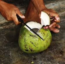 Find the perfect coconut water stock photos and editorial news pictures from getty images. Benefits Of Coconut Water 10 Healthful Reasons To Drink It