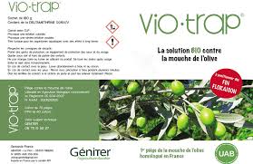 Utilisez des méthodes préventives contre la mouche de l'oignon. Olivier