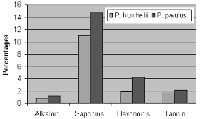 Image result for Phyllanthus parvulus