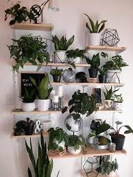 Indoor Plants Plants Wall Wall Decors Diy Plant Decor Wall Living Room Decors Interior Home Decorati Diy Plants Decor Living Room Wall Designs Plant Decor