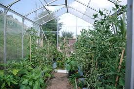 Check spelling or type a new query. Indoor Winter Vegetable Garden For Cold Season Harvest