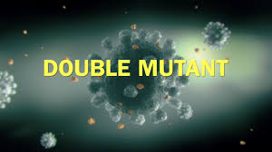 Nbc news medical contributor dr. Double Mutant Covid Variant Emerges In The U S Here S What That Means