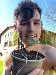 My rhubarb is coming along nicely‼️