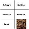 Sunda meme adalah tempat berbagi untuk meme berbahasa sunda. 1