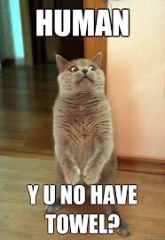 Human Y U No have towel? - Horrorcat - quickmeme