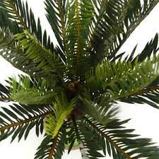 We did not find results for: Artificial Plants Palm Tree Green Leaves Fake Large Leaf Greenery Plant Decor 7625933061565 Ebay